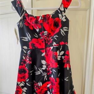 BNWT Floral Red and Black dress size. 3